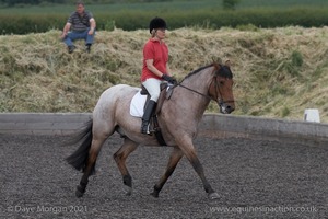 ISIS Dressage Challenge 2008